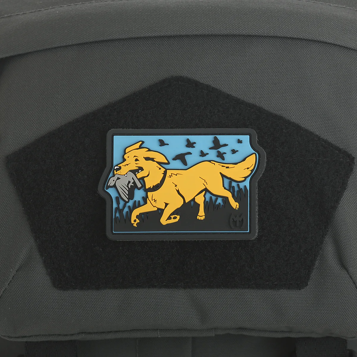 Retriever - Image 4