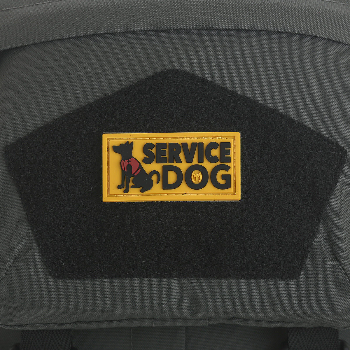 Service Dog - Image 4